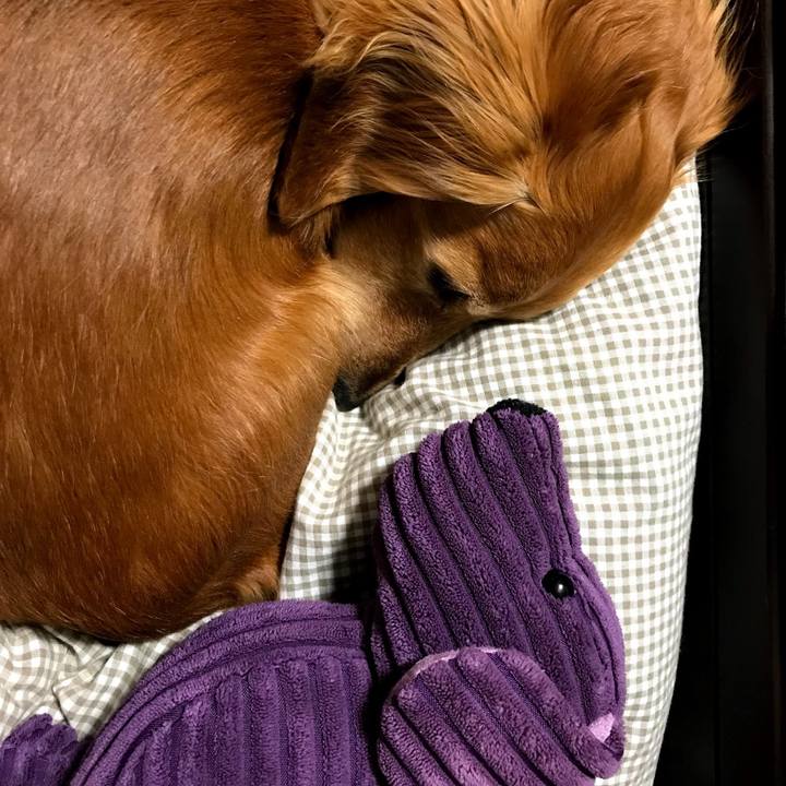 8d55cc0c e13f 4342 8d33 325ae0301e86 1774369888064