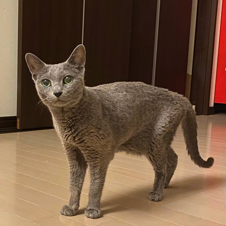 8d55e943 d165 400a a831 8d4fef0e37e9 1628680916536