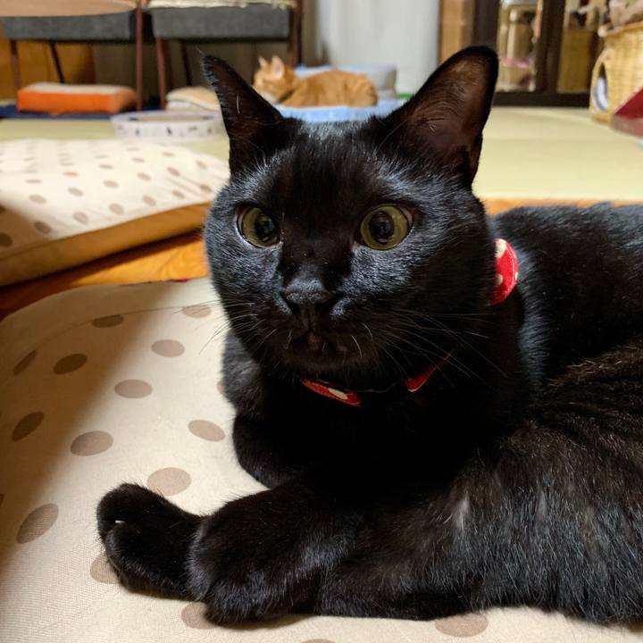 8d561ef7 6743 4d31 916e 22da4fc8f395 1569503507985