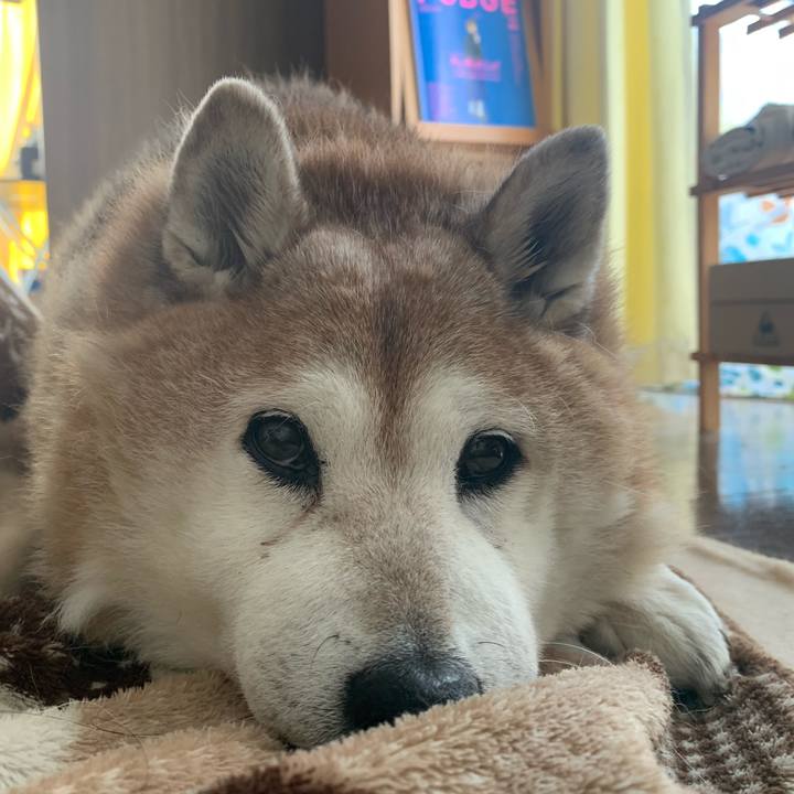 8d5634d2 4103 47b1 b464 44eb9c7281ee 1613828336009