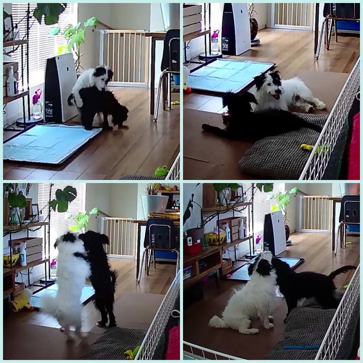 8d564035 36c8 40d3 a908 35cf47f6f62c 1533081430858