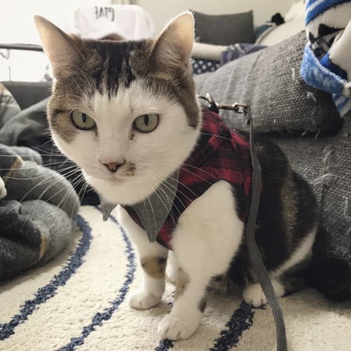 8d5644e9 fe04 4dc7 b9e6 afd59ecb8039 1546745750497