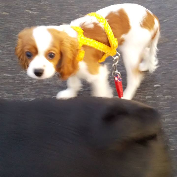 8d567f65 1967 467a b33a 6e4c92999a49 1570527273092