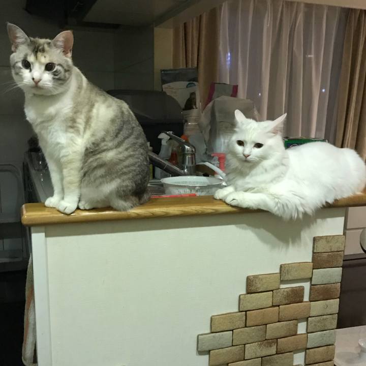 8d568112 9237 4741 9412 d6ce17be5f35 1527677253143