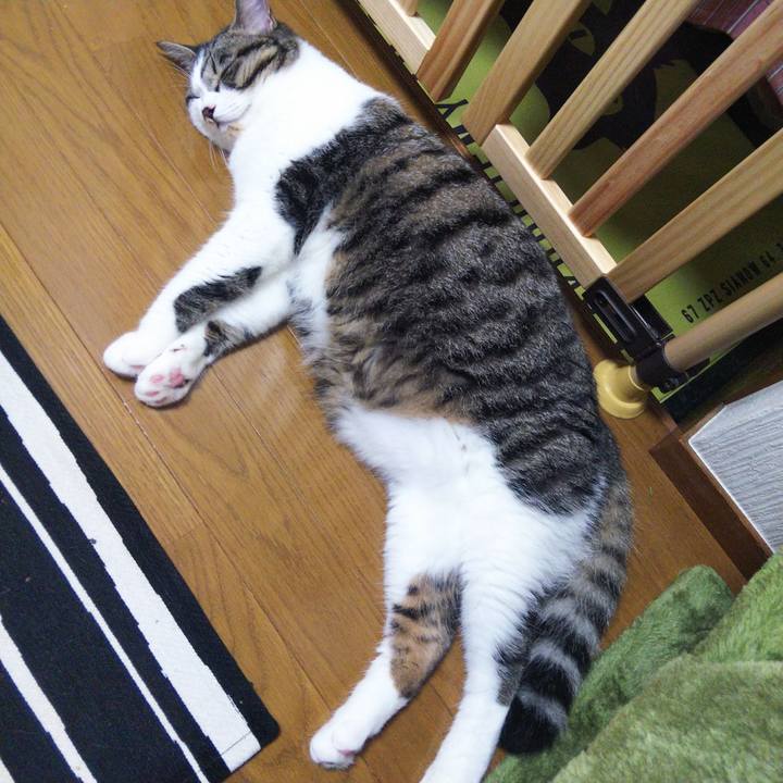 8d569561 7a9a 4faf a256 3bf1b2d32e8d 1625576349758