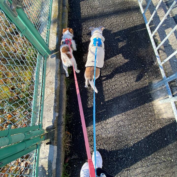 8d572828 49c2 49df a47f 6a503c375181 1704590105110