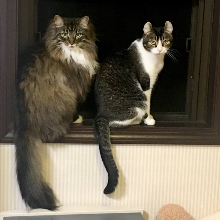 8d572fbb 2189 4d82 9463 663c46b67056 1524397616060