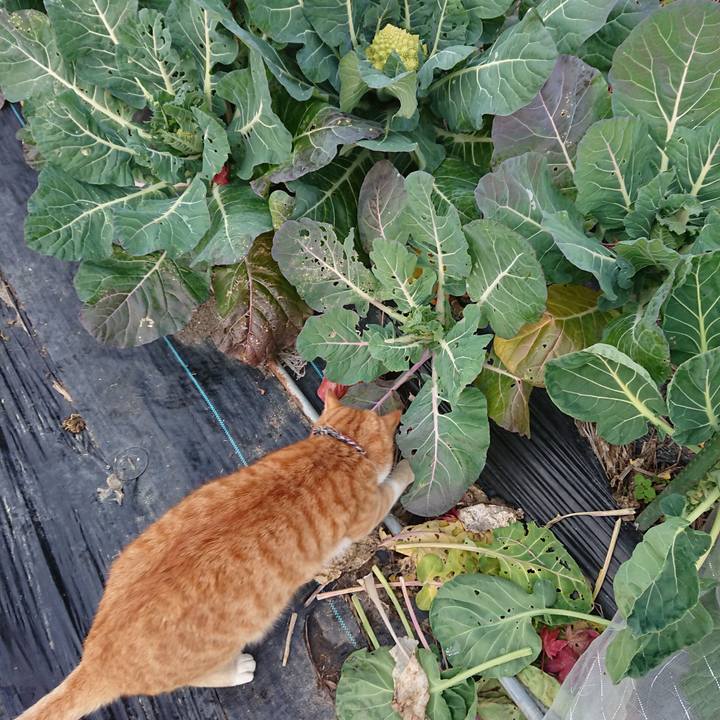 8d574ea0 e30d 4b98 ab3b 4291b404f902 1574494060505