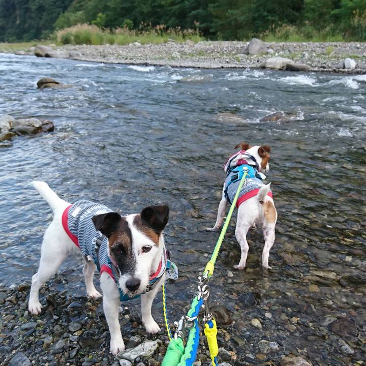 8d577e3e e108 4d5d a0c4 71cf8f25a38b 1567415334686