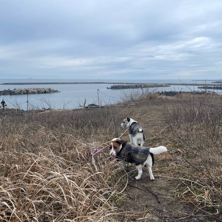 8d578c92 de8d 4e61 b33e 15bedb8a2a8f 1743548875322