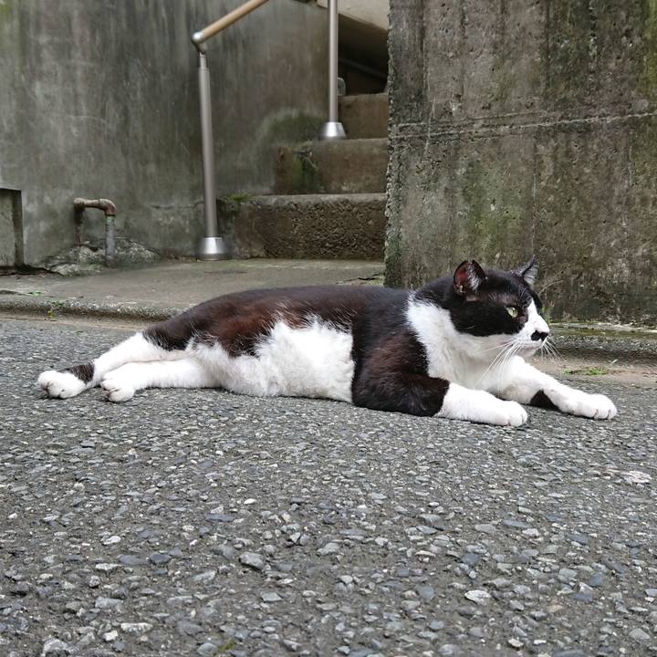 8d57bf26 0953 4088 8ab7 814716102012 1537164616197