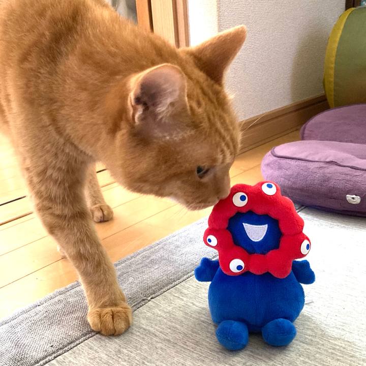 8d57c238 2460 4447 a1be 05cd6672faef 1753589710399