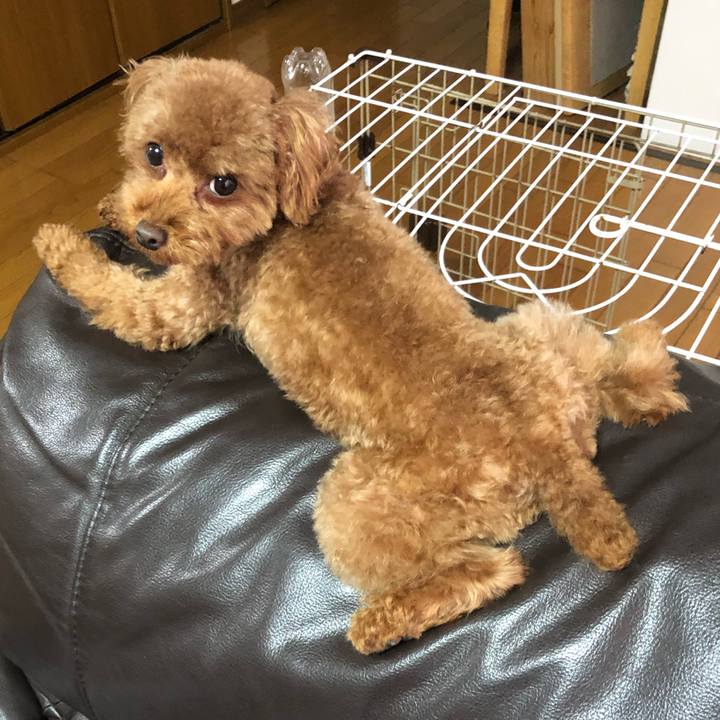 8d57c707 362b 4491 9cf3 e92b305c8444 1562625825751