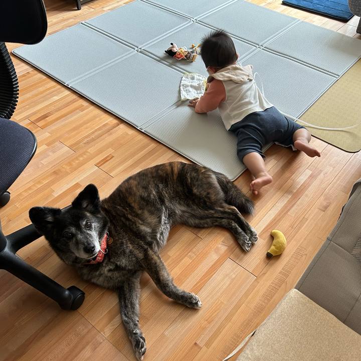 8d58068c c3db 414a 94f6 3beb9398827b 1718841508924