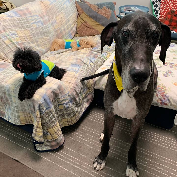 8d581395 3125 49a2 be91 6d640a8b4f60 1567722494825