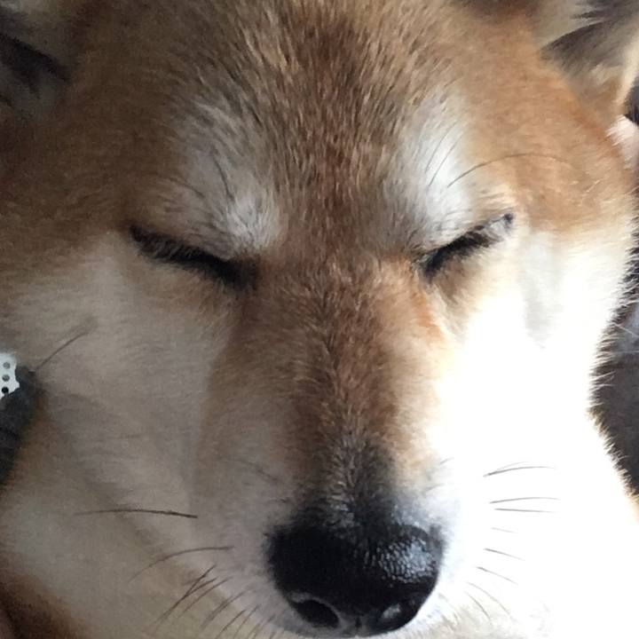 8d5858d0 ab44 48e4 a736 b951b1970810 1592532982848