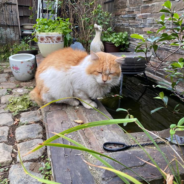 8d58713e db96 41a9 bf47 08ec6ef09fee 1762854894252