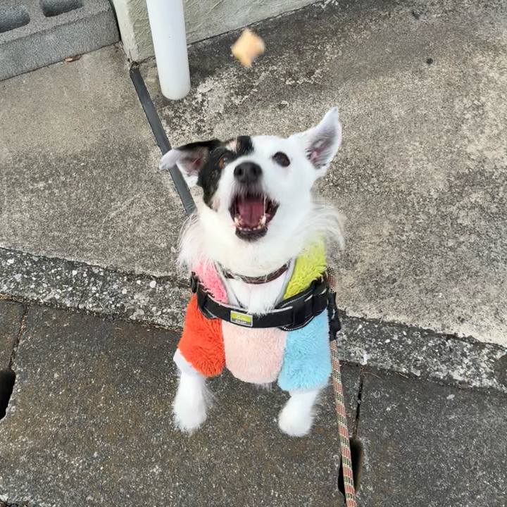 8d588db9 9dee 43bc abae fd1e31e9dc4a 1770940273340