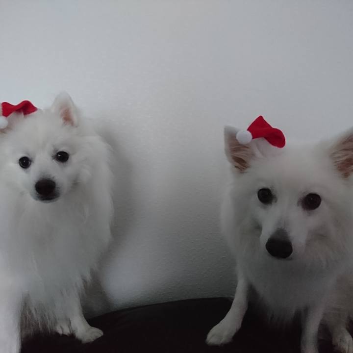 8d58b635 be7c 46f6 85d2 d16529bd6cb9 1577233433892