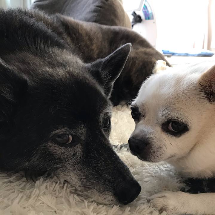 8d58ca2a 68c4 4e2c 81b9 935fee1ddda1 1588848579357