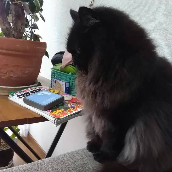 8d58e124 46d7 4124 add6 d05a5d144467 1515043391681