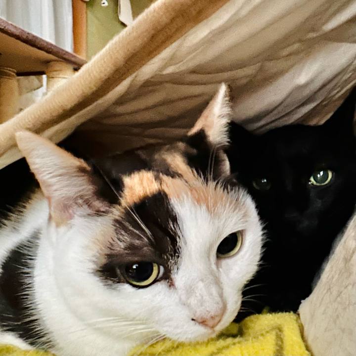 8d58f109 78e1 4fa8 b9d1 9cb076c6b859 1670636645030