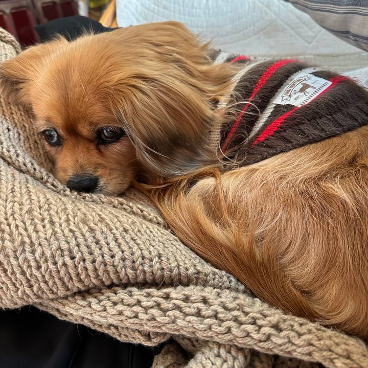 8d58f753 66f0 4b43 a517 f46d8c9aea0f 1737155831123