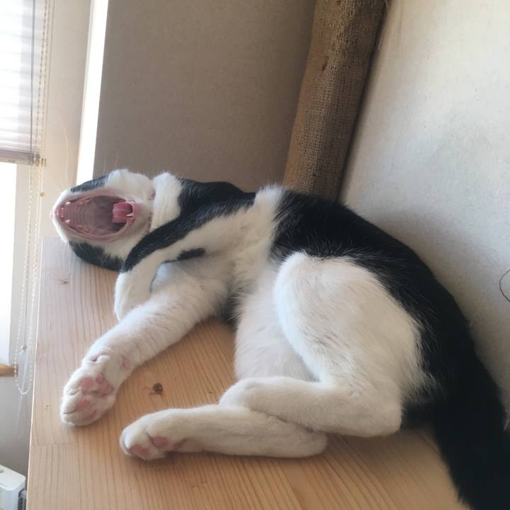 8d5957f1 9663 4f31 984e c5fbb5aa5c55 1576126038817