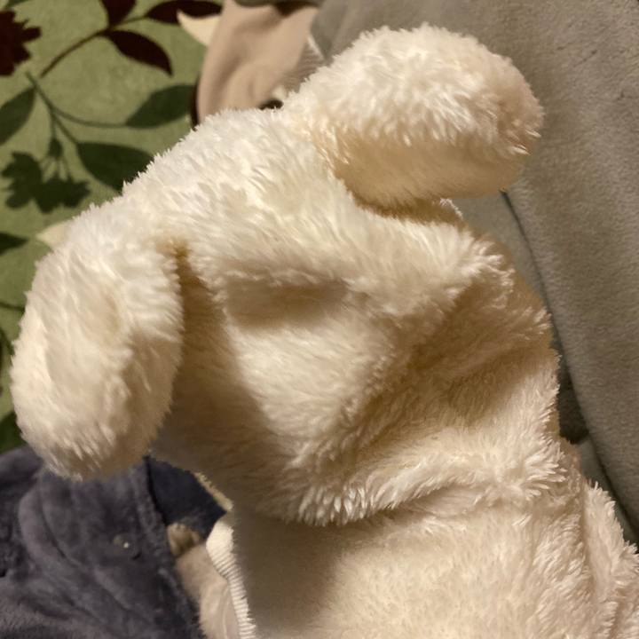 8d598278 3d22 4ff9 8f15 d4119dbc8b58 1608289303304