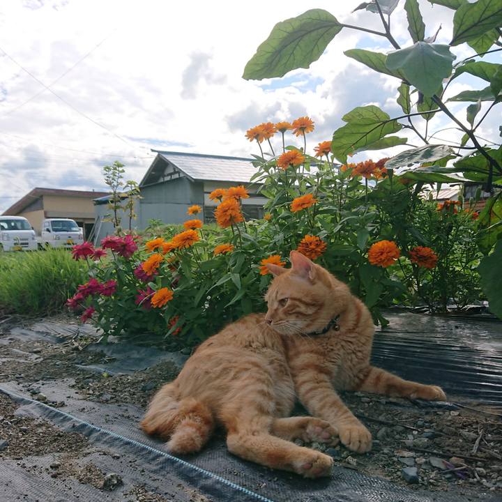 8d59a576 4e33 4586 bb7f 99867704476c 1662713564070