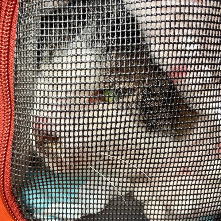 8d59b757 edcf 4915 a69a c9fe5dbbbeed 1615103937341