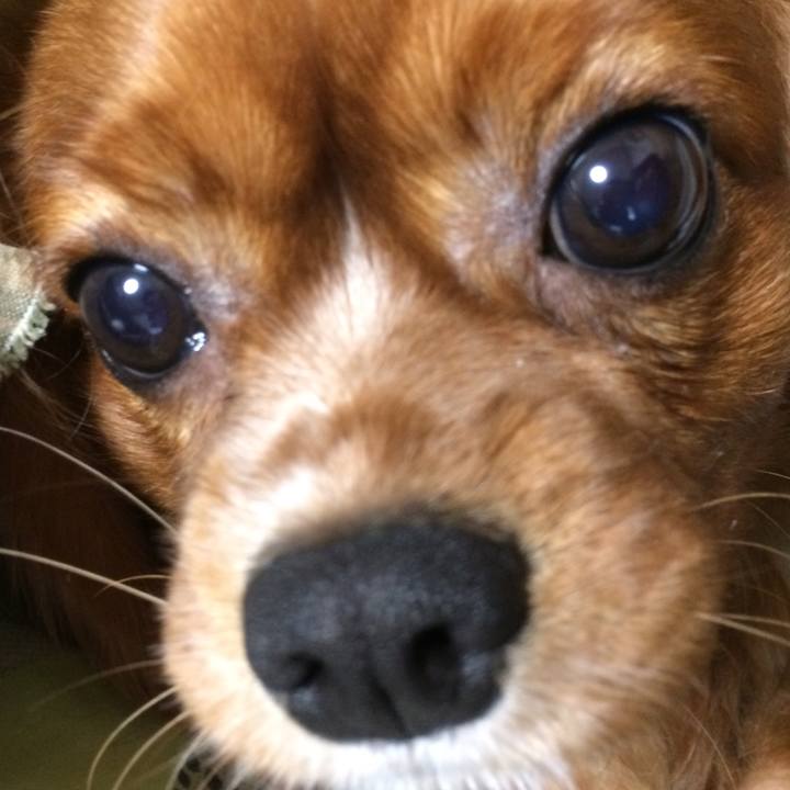 8d59c5a1 b9fc 4e8b 98a8 5b33b3263a81 1517350586590