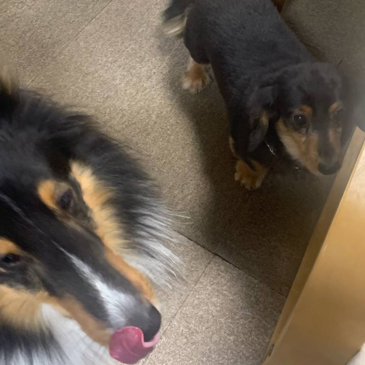 8d59cf53 ce03 4f01 ac59 fc2cea8492ea 1575409034184