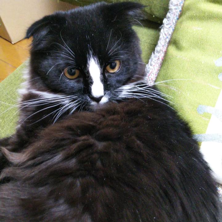 8d5a1f84 6bcc 416a 92ee 73359f9241db 1648448212220