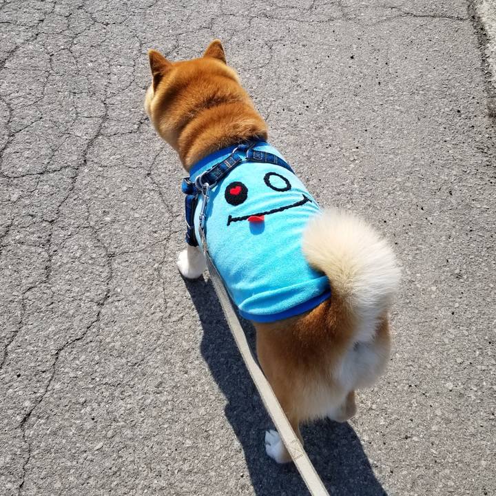 8d5a6cf1 ee1d 483f ac3b 69b87d778c5c 1551493835582