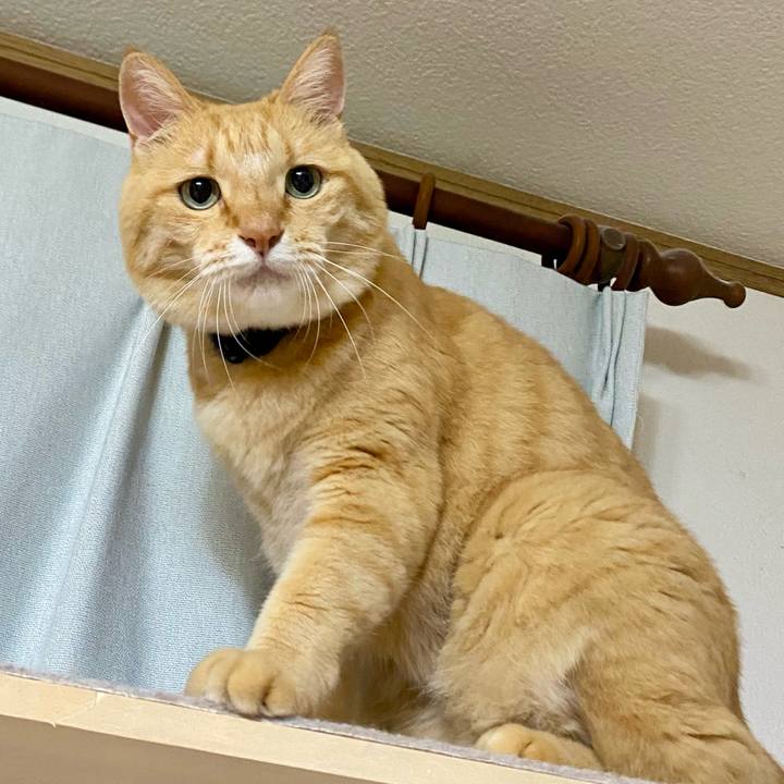 8d5a8462 cadd 4ca9 887e ff912804c392 1758758008140