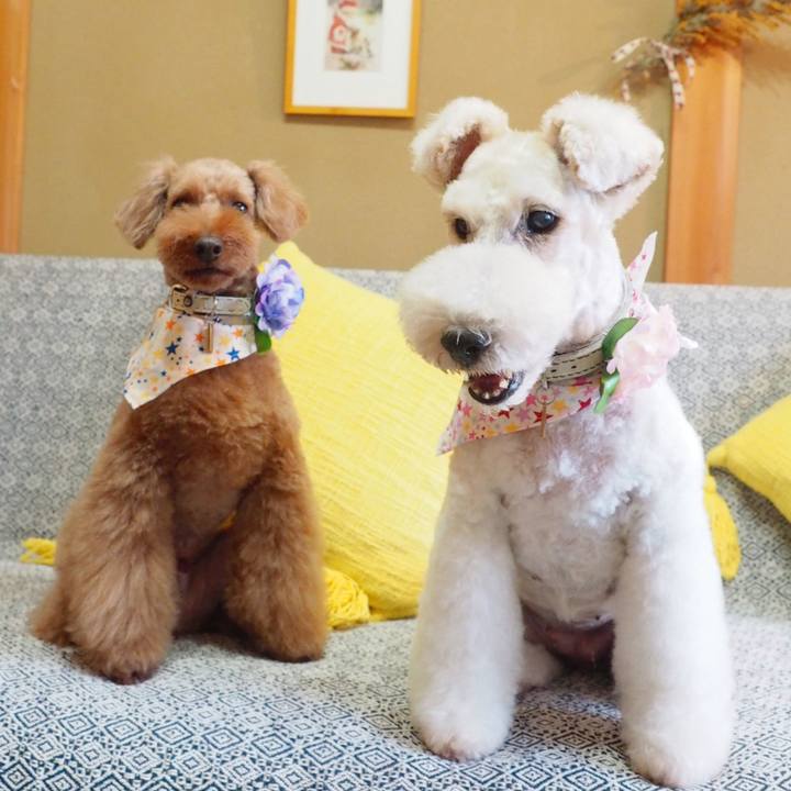 8d5aa0a9 cc70 4b95 b1af 78909456f17b 1594479018223