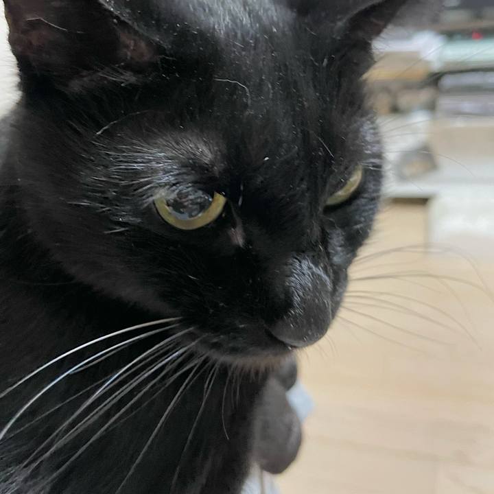 8d5aba22 0a2a 4a36 8a22 099980bff25f 1698499777630