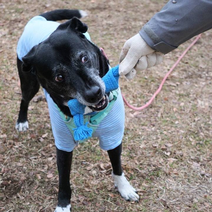 8d5aea11 1c47 4885 a88f 7d37fb40c860 1771373344632