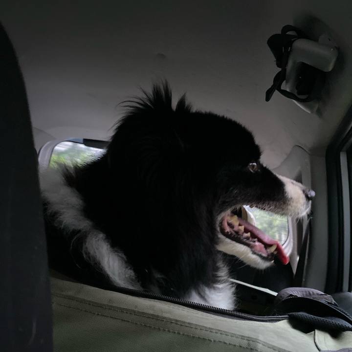 8d5b22da 0a4f 4b20 9cdb 45a9ce2217cd 1660338438736