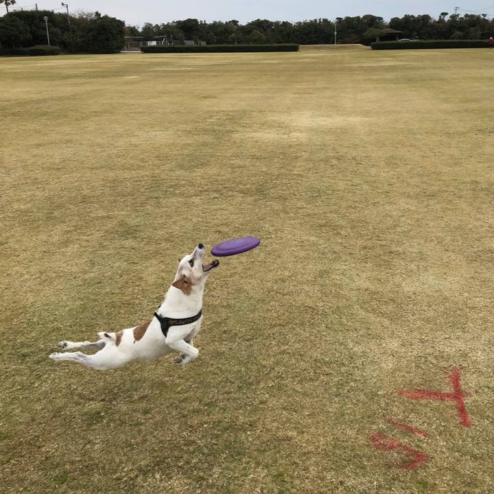 8d5b290c e05f 499c 938d 1b7b27a4235e 1513411049116