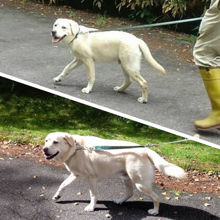 8d5b7549 e412 43df afb0 bd6e6af207f8 1662281994048