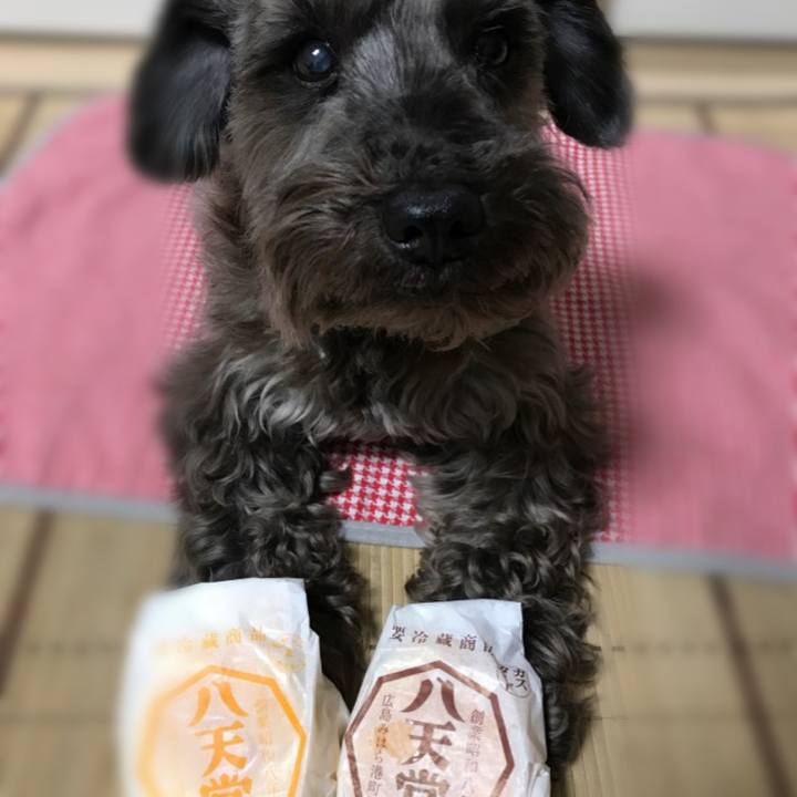 8d5b91f1 bd38 4569 93fe f3a635b5b5a7 1508055158612