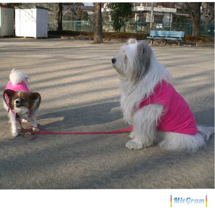 8d5b954b 32b6 43ad b0ea 6c5ca5831953 1515819329692