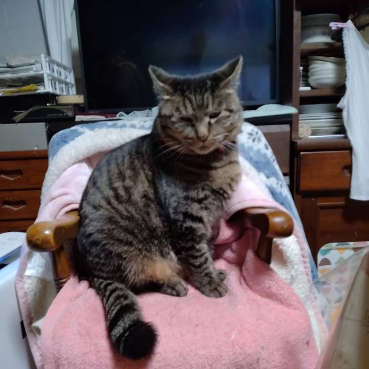 8d5ba7c2 386b 4bcc b21a 6a8111a7702d 1673303776891