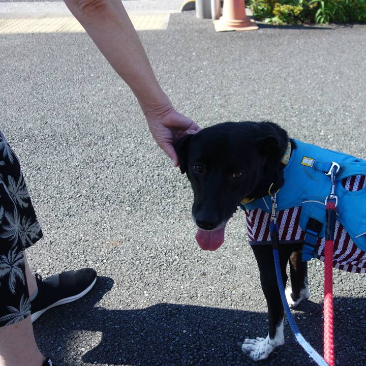 8d5bd745 4f86 4c2a 856b 5248b71e3f73 1626479508803