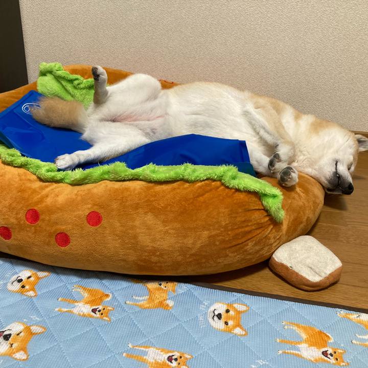 8d5c0b04 ad30 4f50 a71a 7dacac0cf4f3 1624886177652