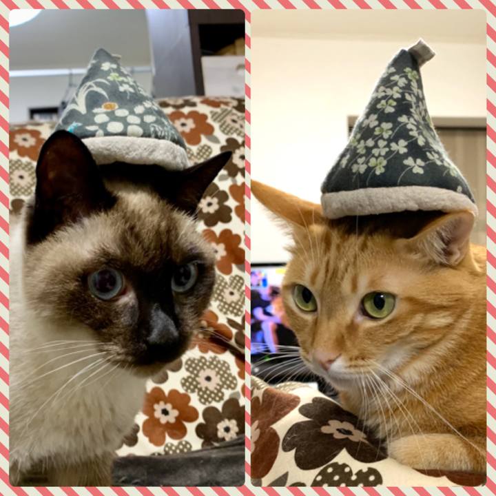 8d5c4425 64aa 49d7 bb7b d3df1e56b594 1576190809975