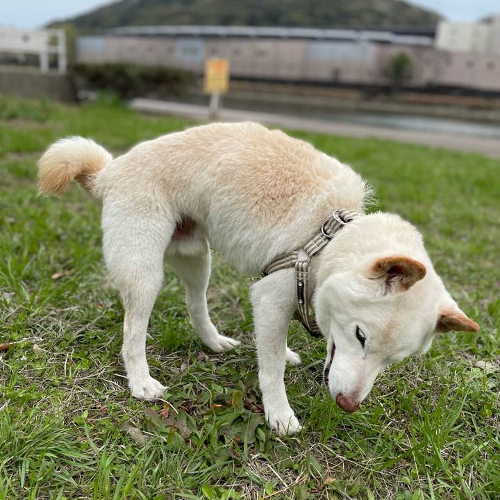 8d5c59ca 2bef 475d b529 4c07857cc8d5 1648537081625