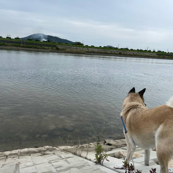 8d5c5f29 bf2a 4ccc a3c2 70fbb0d1113d 1696676550317